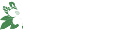Black Magnolia Urban Farm